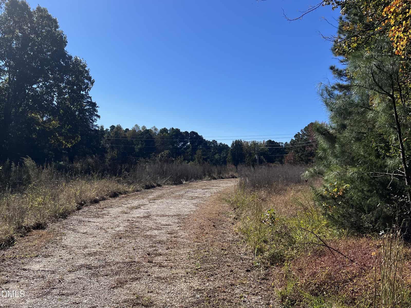 A dirt and gravel path curves through a field with tall grass and sparse vegetation, bordered by trees under a clear blue sky on a sunny day. Power lines are visible in the background.