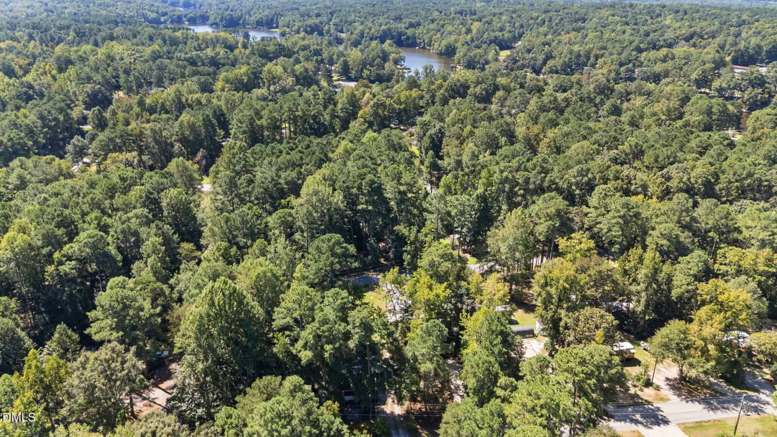 Aerial view of a lush, green, tree-filled neighborhood with scattered houses and roads, surrounded by dense forest. A lake is visible in the background under a clear blue sky.