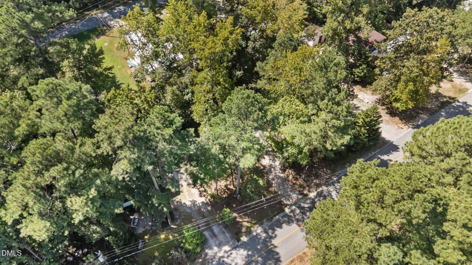 Aerial view of a tree-covered residential area with a road running through it. Houses and driveways are partially visible among dense green foliage, and power lines cross over the road.