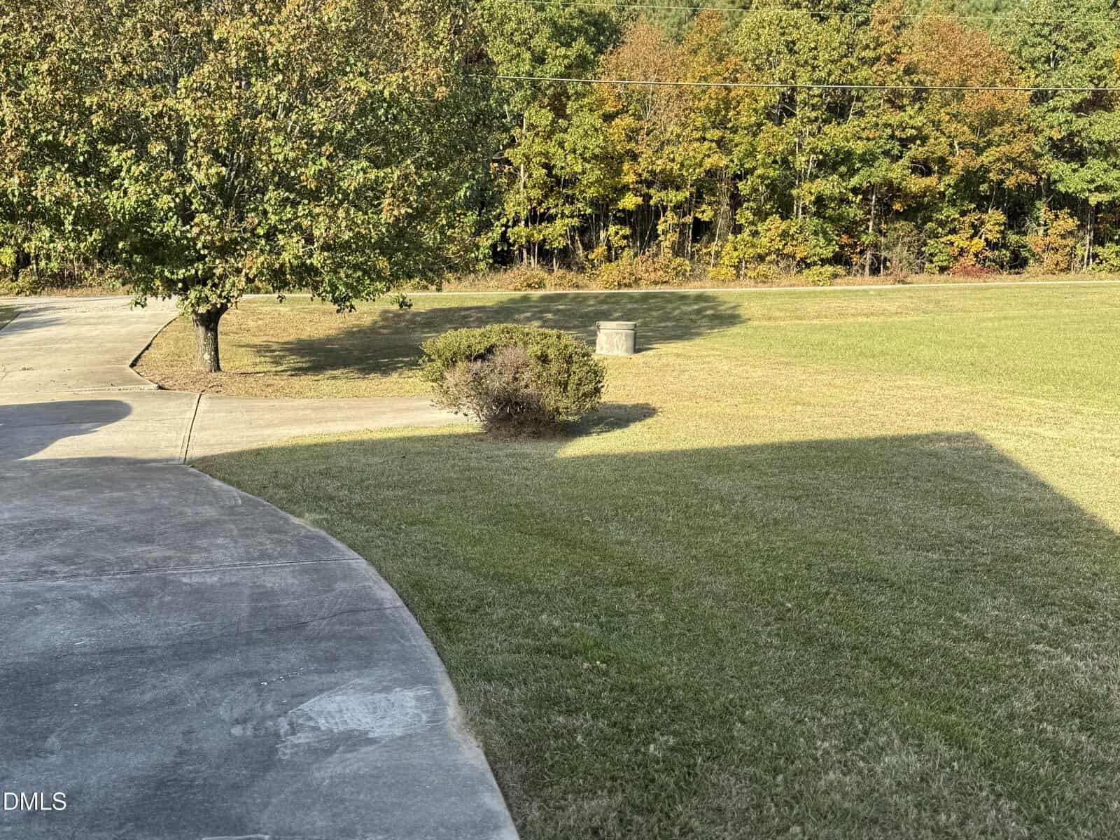 A concrete driveway curves next to a grassy lawn with a large tree, some bushes, and a utility box. In the background, there is a line of trees with autumn foliage. Shadows are cast on the grass.