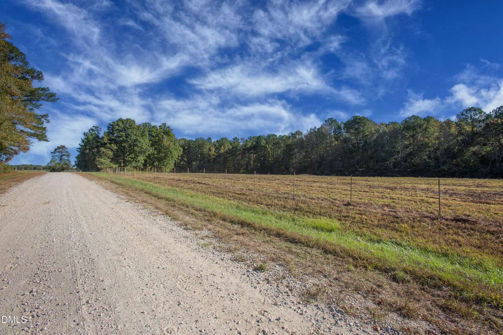 A gravel road runs alongside a grassy field bordered by a wire fence, with dense trees in the background beneath a blue sky filled with wispy white clouds.