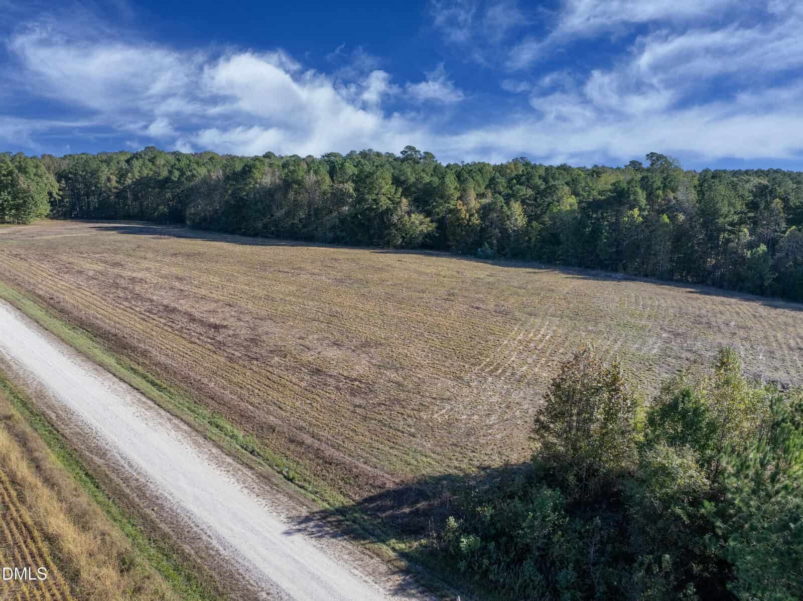 A wide, open field with dry grass bordered by a dirt road on the left and a dense, green forest under a bright blue sky with scattered clouds.