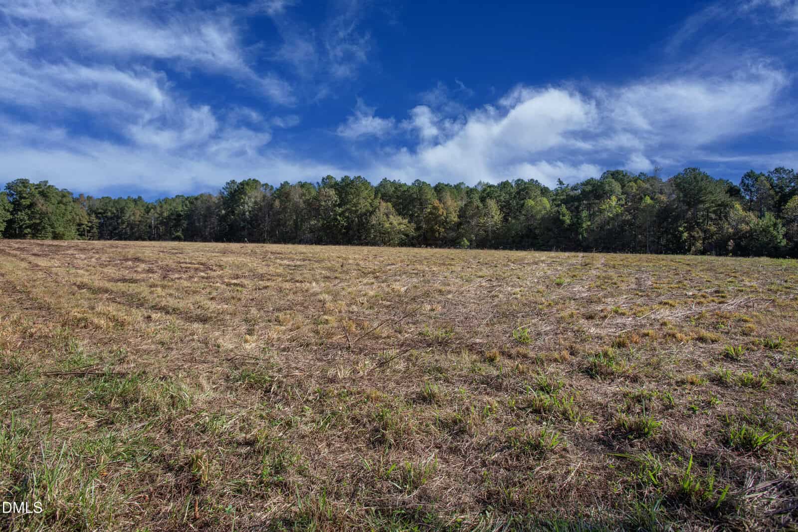 A wide, open grassy field with patches of brown and green grass under a bright blue sky with scattered white clouds. A line of trees borders the field in the distance.