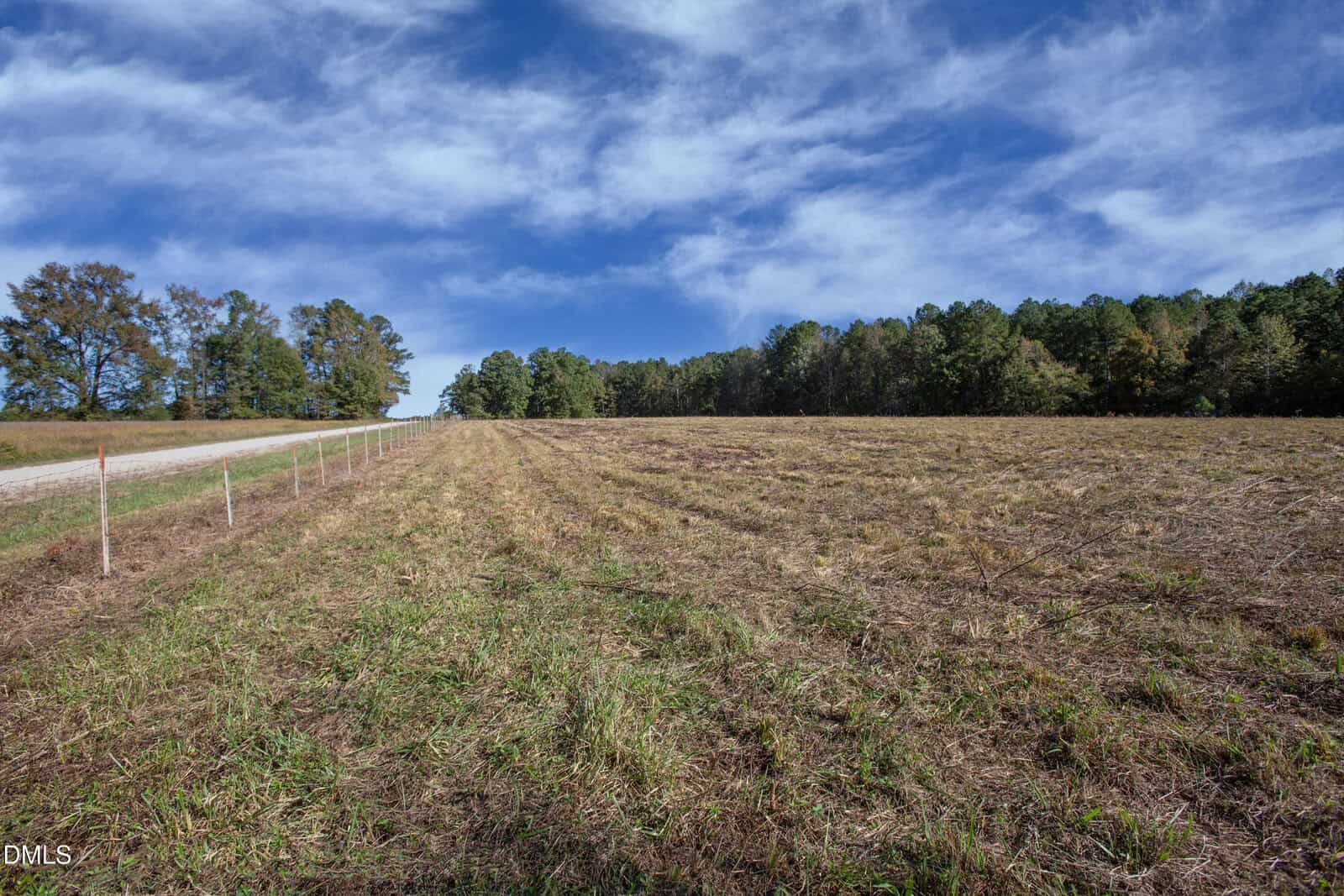 A grassy field with patches of dry grass, bordered by a line of trees under a blue sky with wispy clouds. A dirt road with a wire fence runs along the left side of the field.