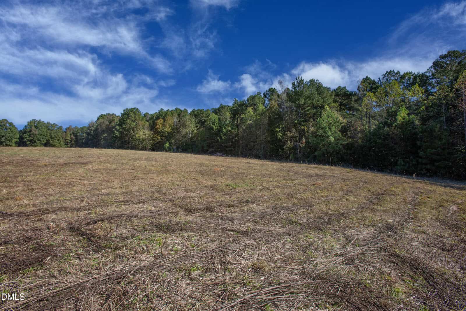A cleared, dry field with sparse grass and tire tracks, bordered by a dense green forest under a blue sky with wispy clouds.