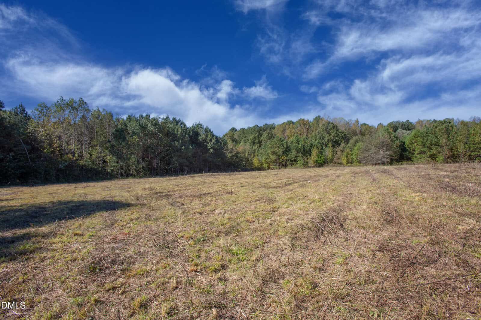 A flat, grassy field with patches of dry grass and sparse vegetation, bordered by a line of trees under a blue sky with scattered clouds.