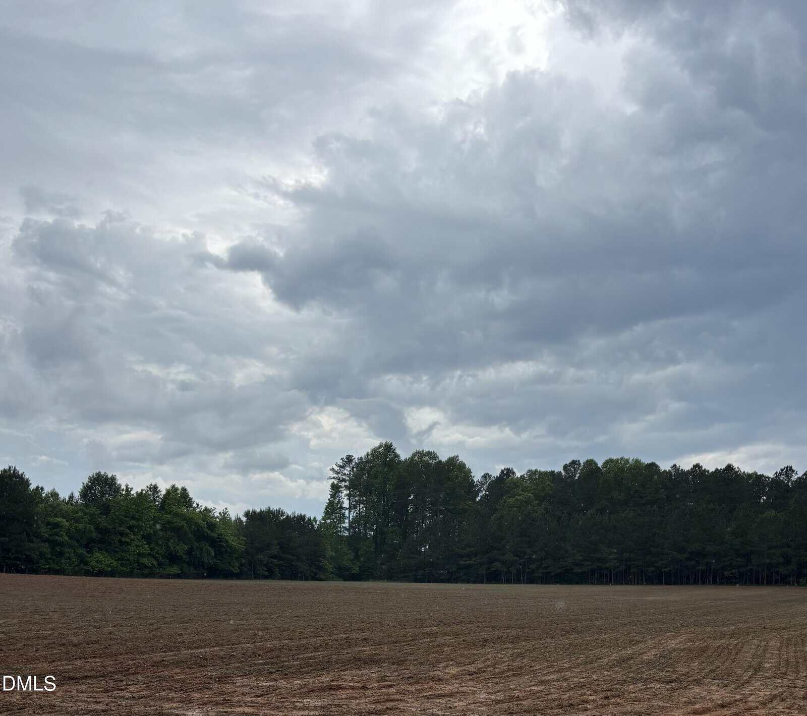 A cloudy sky stretches over a flat, empty field bordered by a dense line of trees. The ground appears to be freshly plowed, and the scene is calm and overcast. The letters "DMLS" are visible in the bottom left corner.