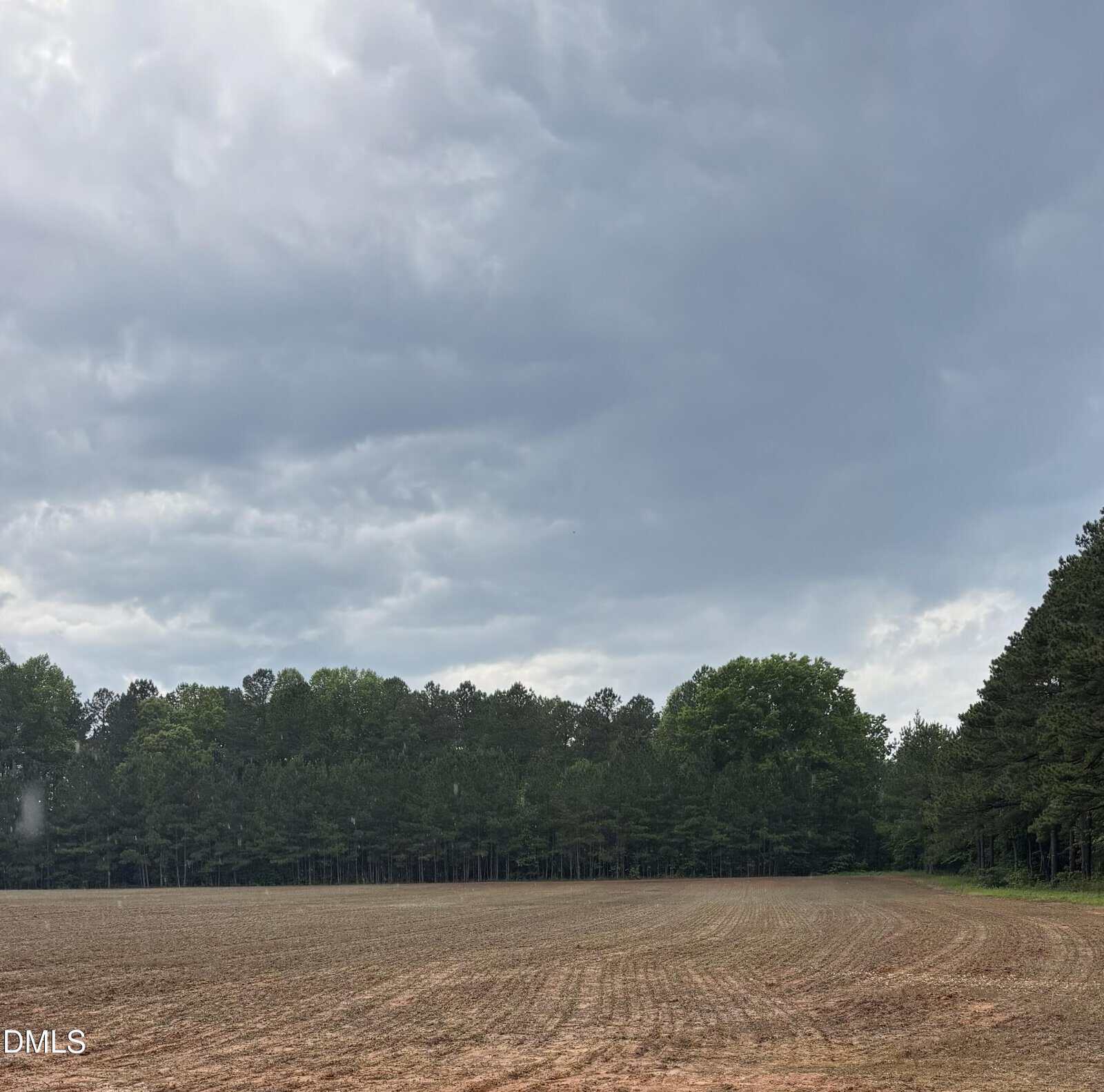 A cloudy sky hangs over a large, empty field bordered by a dense line of tall trees. The field appears freshly plowed, and the scene has a calm, rural atmosphere.