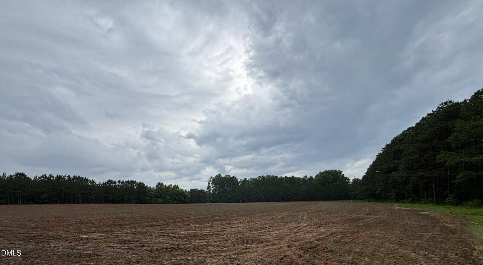 A wide, open field with freshly tilled soil sits under a cloudy sky on 1000 Club Pond Road, bordered by dense, dark green trees on two sides. The light is diffused by overcast clouds near Henderson.
