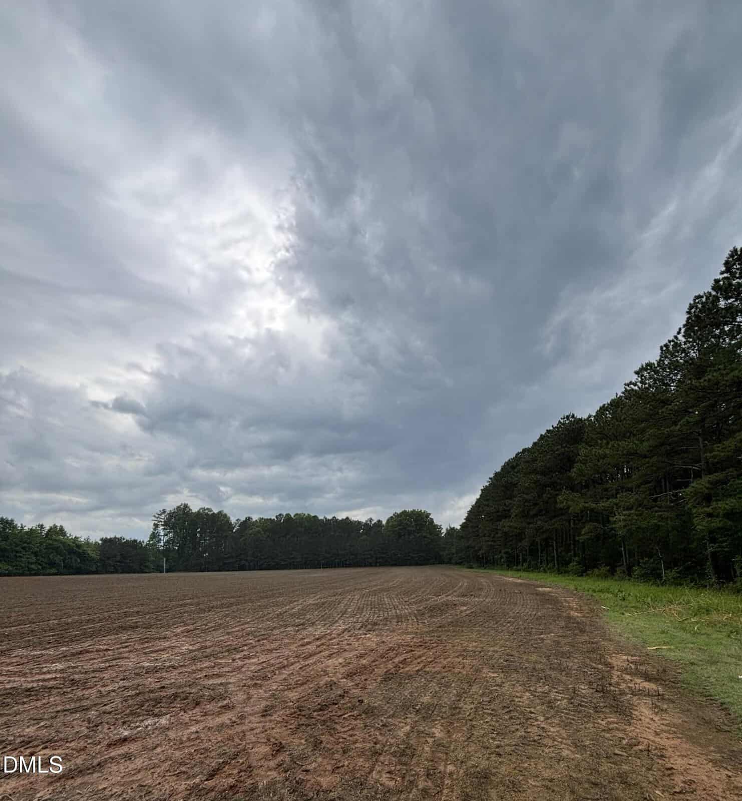 A large, empty field with bare soil curves alongside a dense line of tall trees under a cloudy, overcast sky. The scene appears calm and rural, with no buildings or people visible.