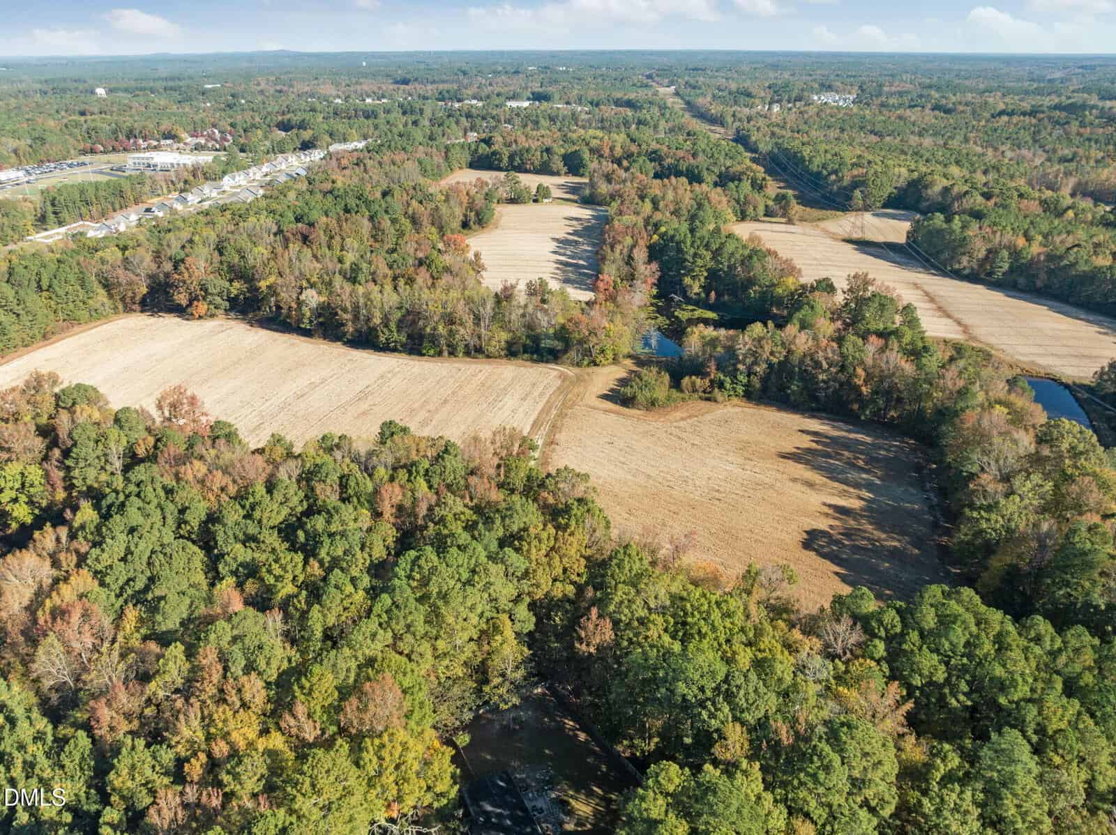 A aerial view of a forest.