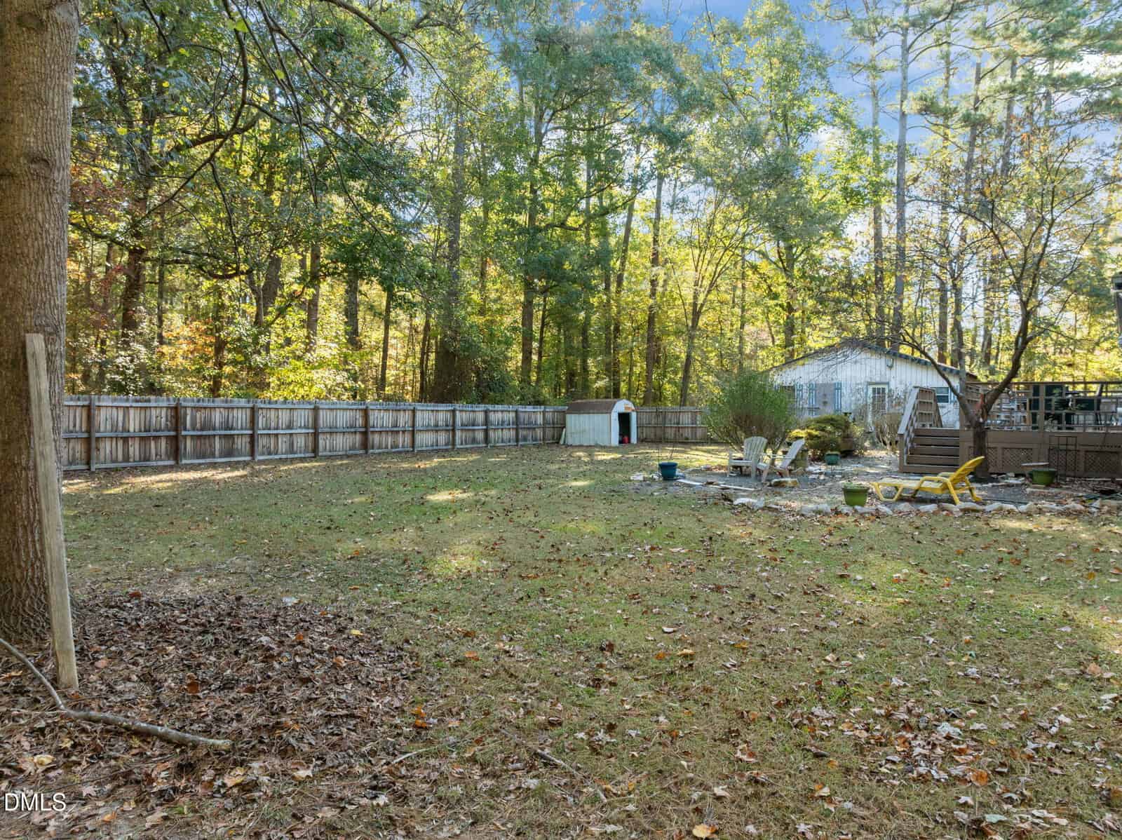 A fenced backyard with scattered leaves, a doghouse near the fence, a small shed, outdoor furniture, and a deck, surrounded by tall trees and dense foliage in the background.