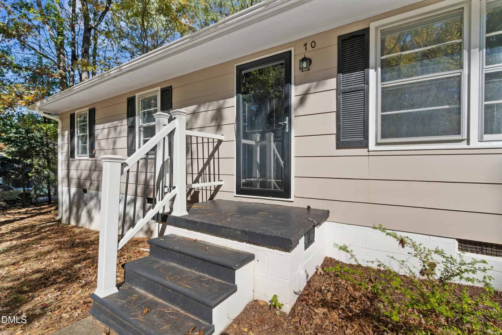 A close-up view of a house entrance with a black front door, three black steps, white railings, beige siding, black shutters on the windows, and some plants along the foundation.