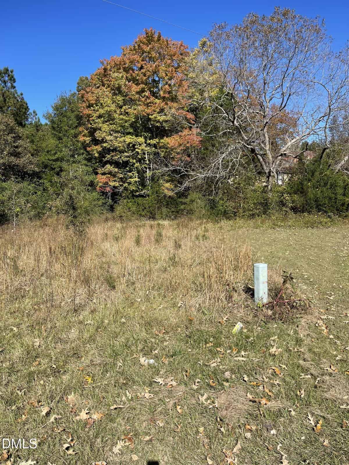 Grassy field with scattered dry grass and a small utility marker in the foreground. Trees with green, orange, and brown leaves are in the background beneath a clear blue sky.