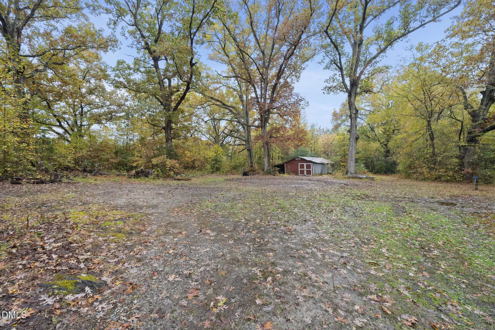A small, single-story building with a green roof and red doors is surrounded by large trees with autumn foliage and stands in a clearing covered with fallen leaves and patches of grass.