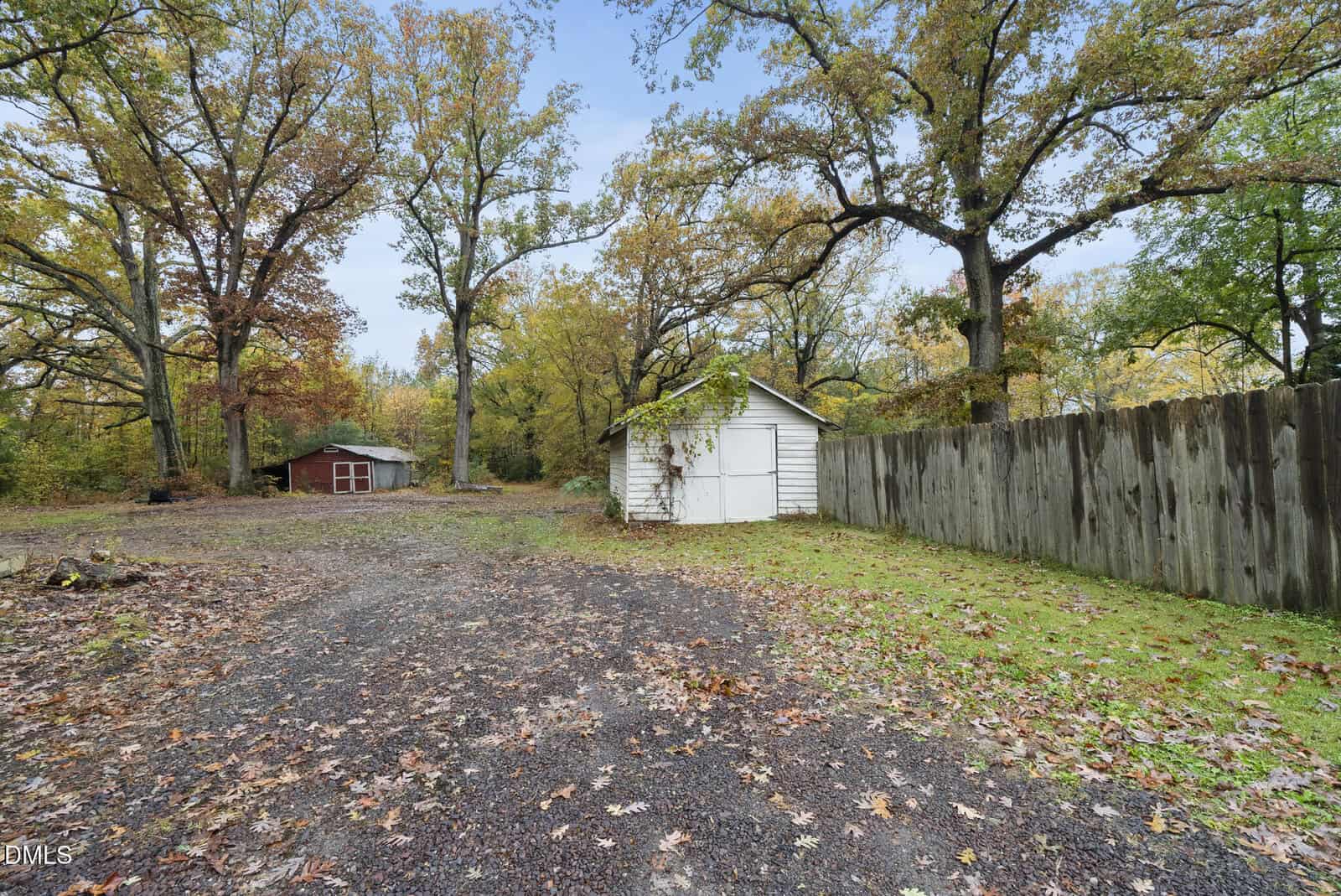 A backyard with a gravel and dirt ground, scattered fallen leaves, a wooden shed with white siding near a tall wooden fence, large mature trees with autumn foliage, and a red house in the background.