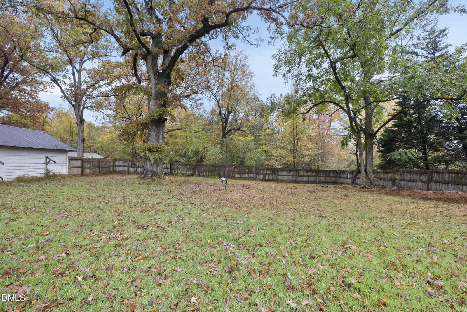 A grassy backyard with scattered autumn leaves, large mature trees, a wooden fence along the perimeter, and a small structure partially visible on the left side. The sky is clear with hints of clouds.