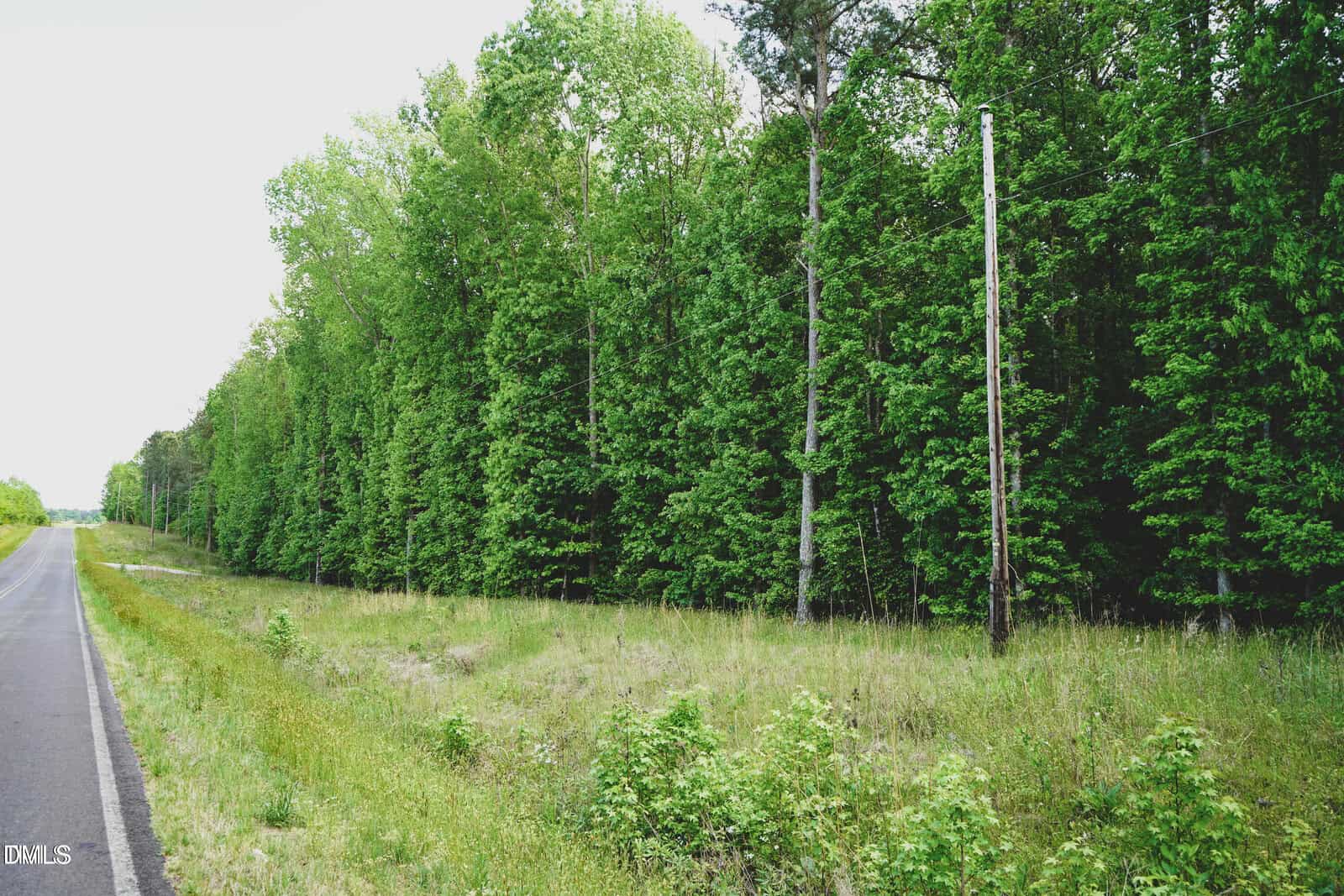 A two-lane road runs alongside a grassy area with telephone poles, bordered by a dense line of tall green trees under a bright sky.