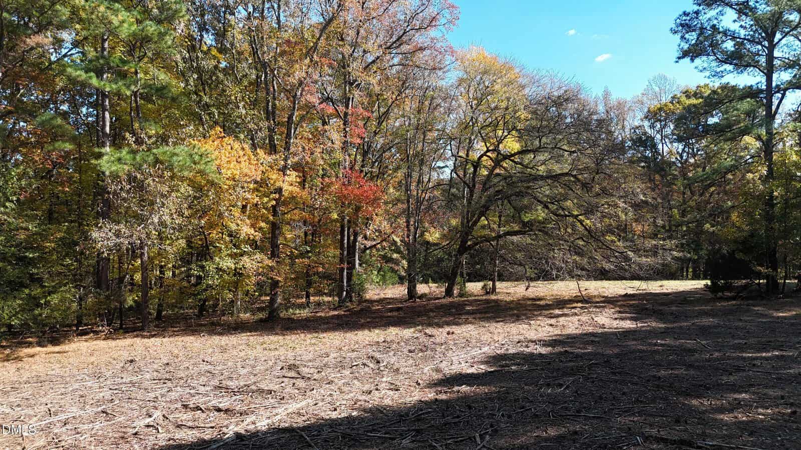 A forested area in autumn with trees displaying green, yellow, and red leaves. The ground in the foreground is mostly clear with patches of dry grass and scattered twigs. The sky is blue with few clouds.