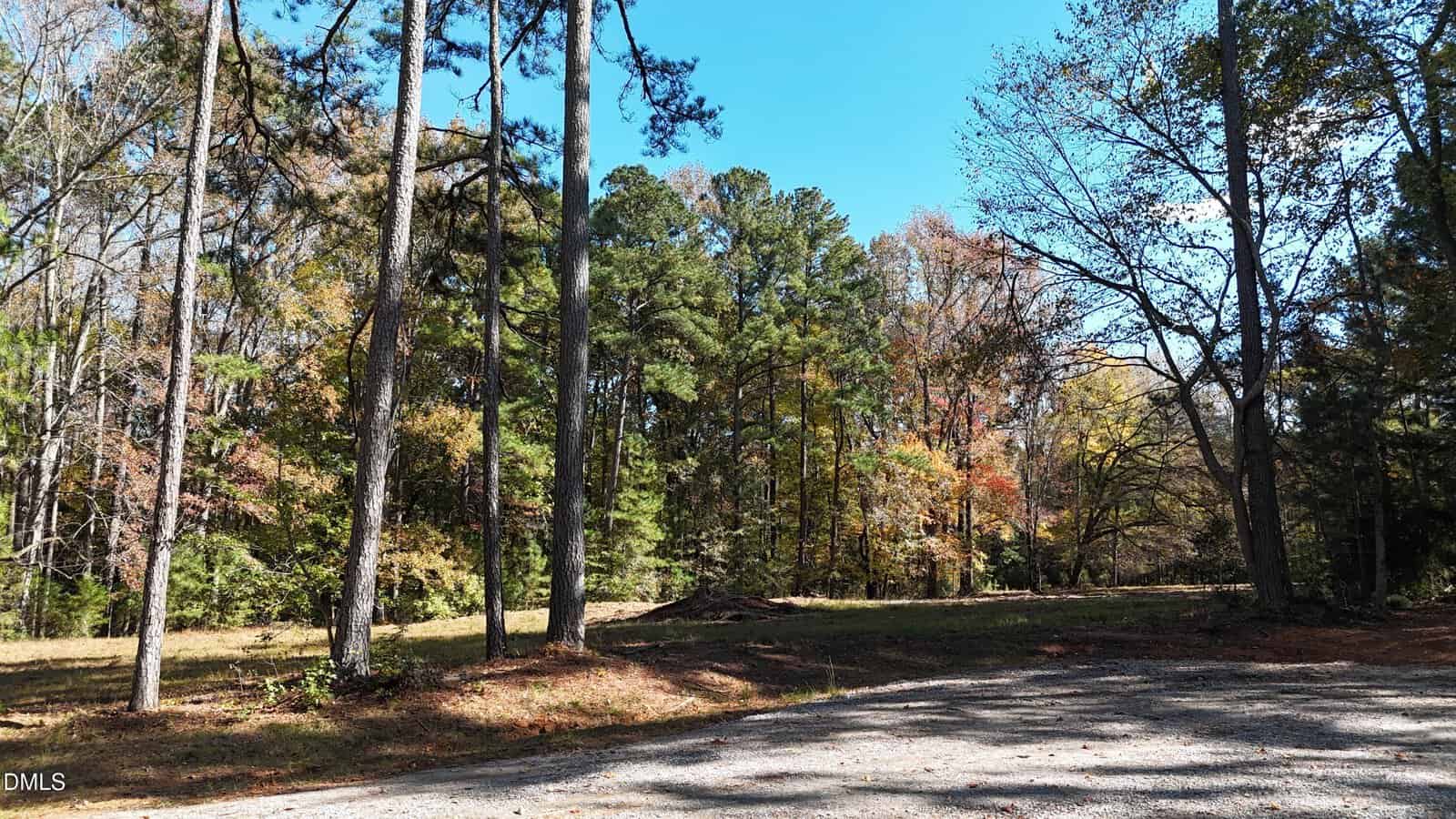 A gravel path curves beside a clearing and tall pine trees in a wooded area with a mix of green and autumn-colored foliage under a clear blue sky.