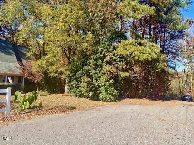 A paved road ends at a wooded area with dense trees and shrubs. The left side shows part of a house with a green roof and some plants in its yard. A black car is parked near the edge of the trees on the right.