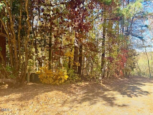 A paved path runs alongside a forested area with various trees, some displaying autumn colors like yellow and red. Sunlight filters through the leaves, and fallen foliage covers the ground near the edge of the path.