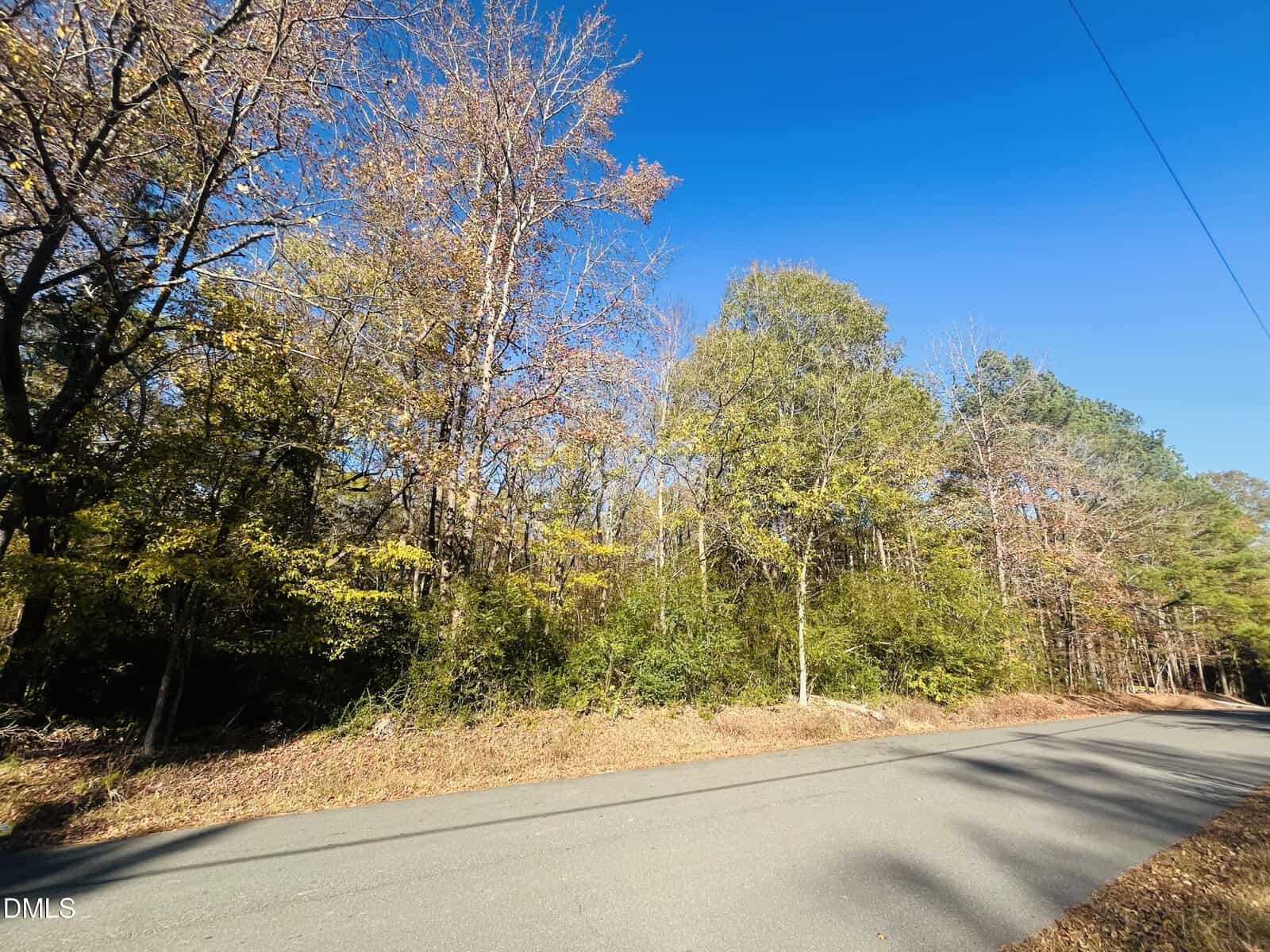 A paved road runs alongside a wooded area with tall trees, some with autumn leaves and some green, beneath a clear blue sky. The scene is brightly lit by sunlight.