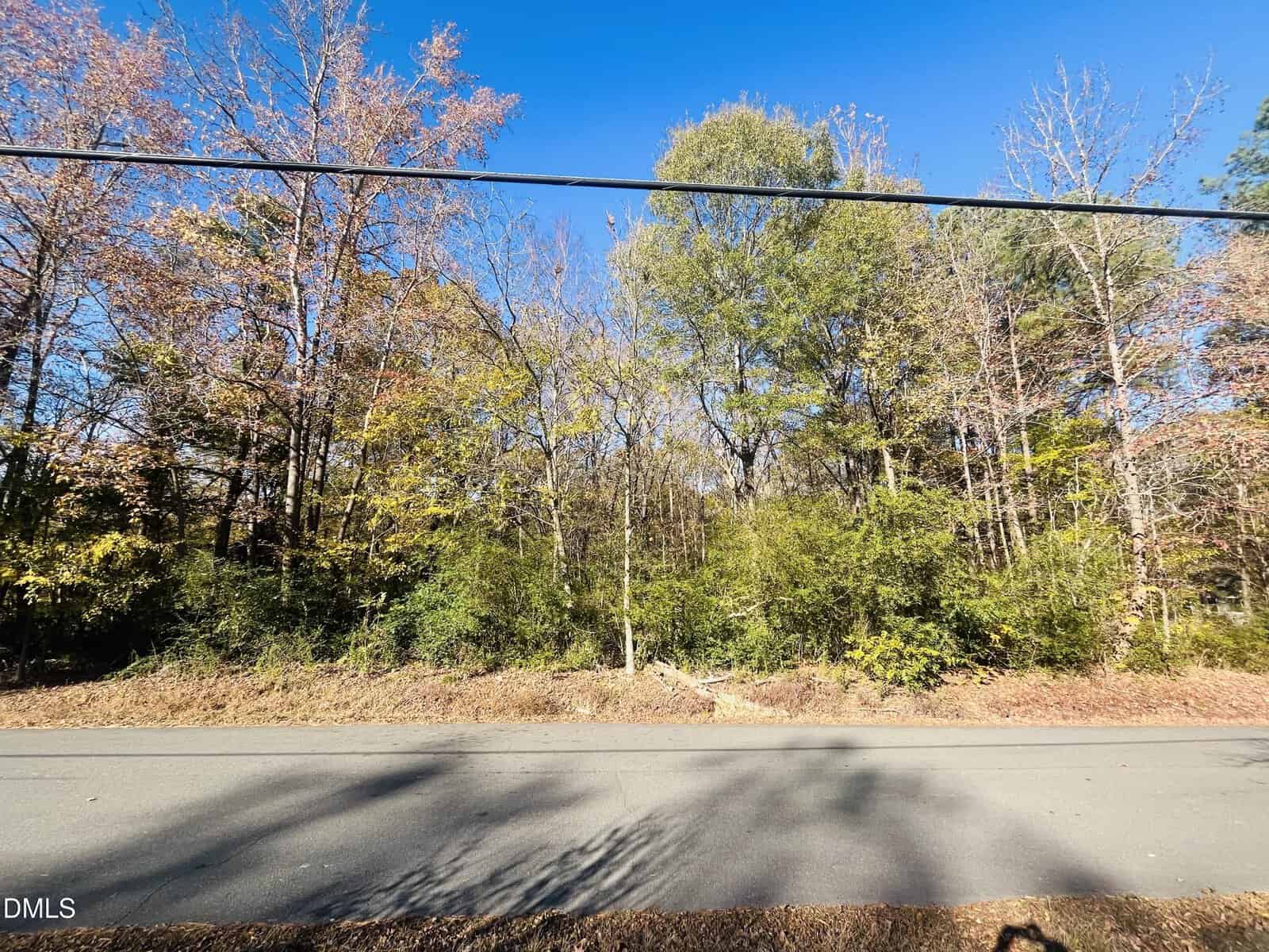A paved road runs in front of dense woods with various trees and underbrush. A power line stretches horizontally across the upper part of the image, and the sky is clear and blue.