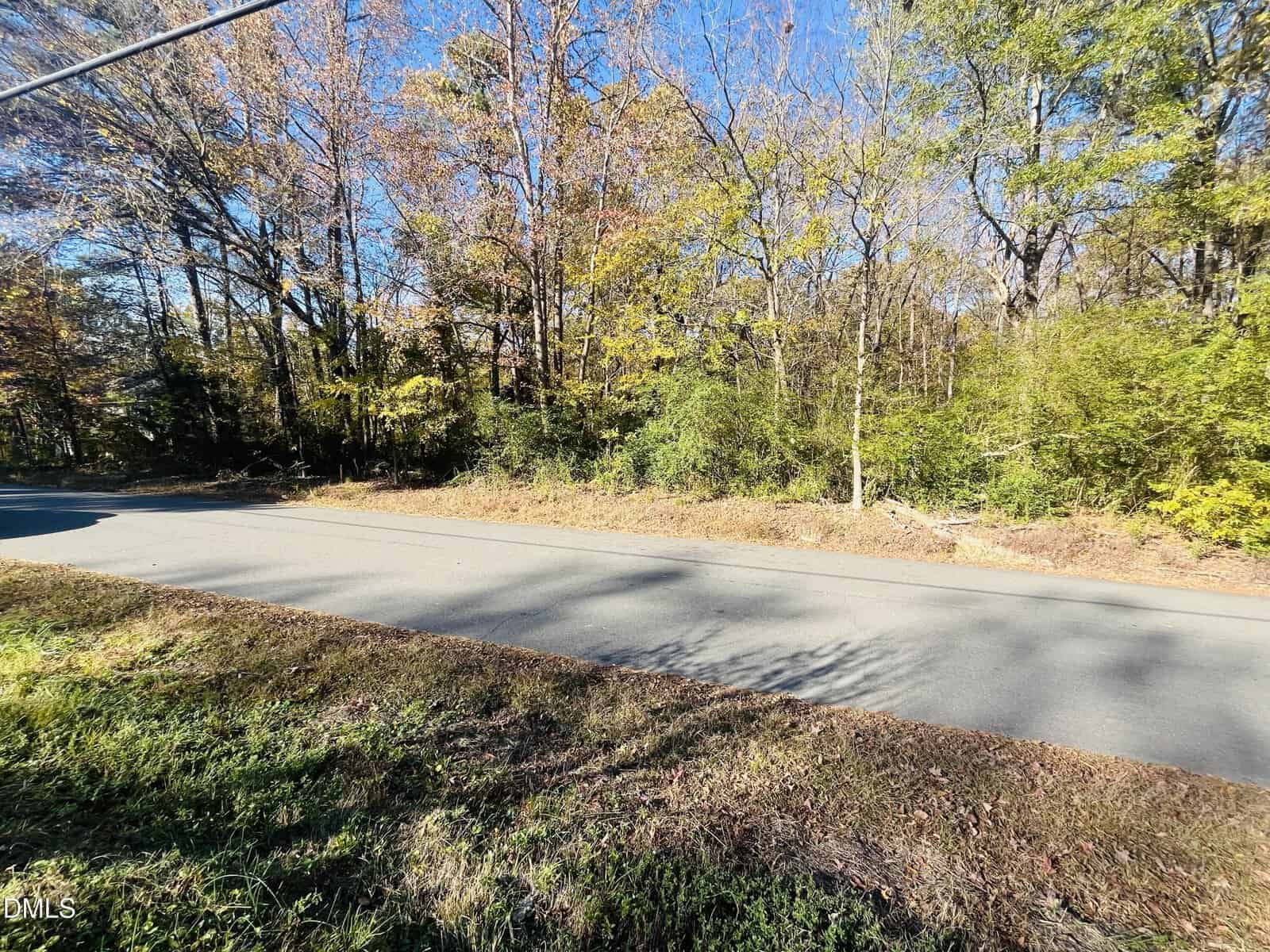 A paved road runs through the foreground with a grassy shoulder on both sides. Dense trees with autumn foliage and underbrush line the background, under a clear blue sky.