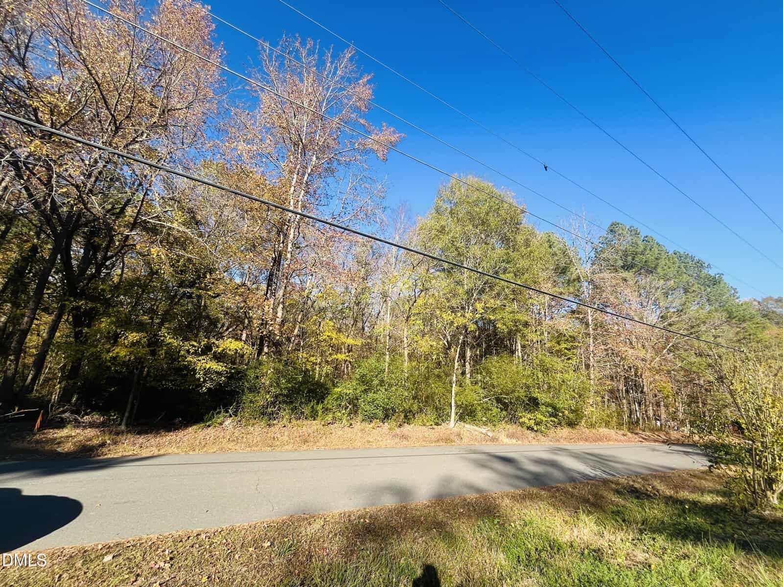 A paved road runs alongside a wooded area with various trees, some with autumn leaves. Power lines stretch across the blue sky above the road. Shadows and sunlight are visible on the ground.