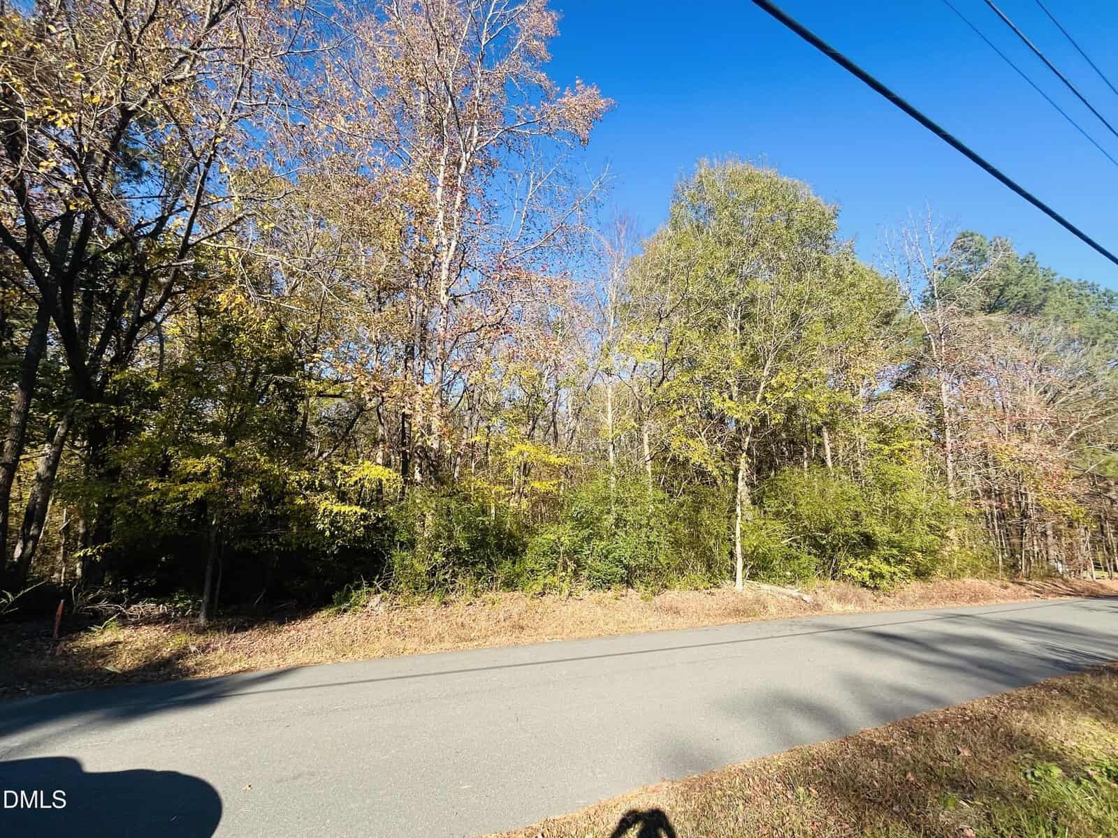 A paved road runs alongside a wooded area with tall trees showing autumn foliage under a clear blue sky. Power lines cross the top right of the image, and sunlight casts shadows on the road.