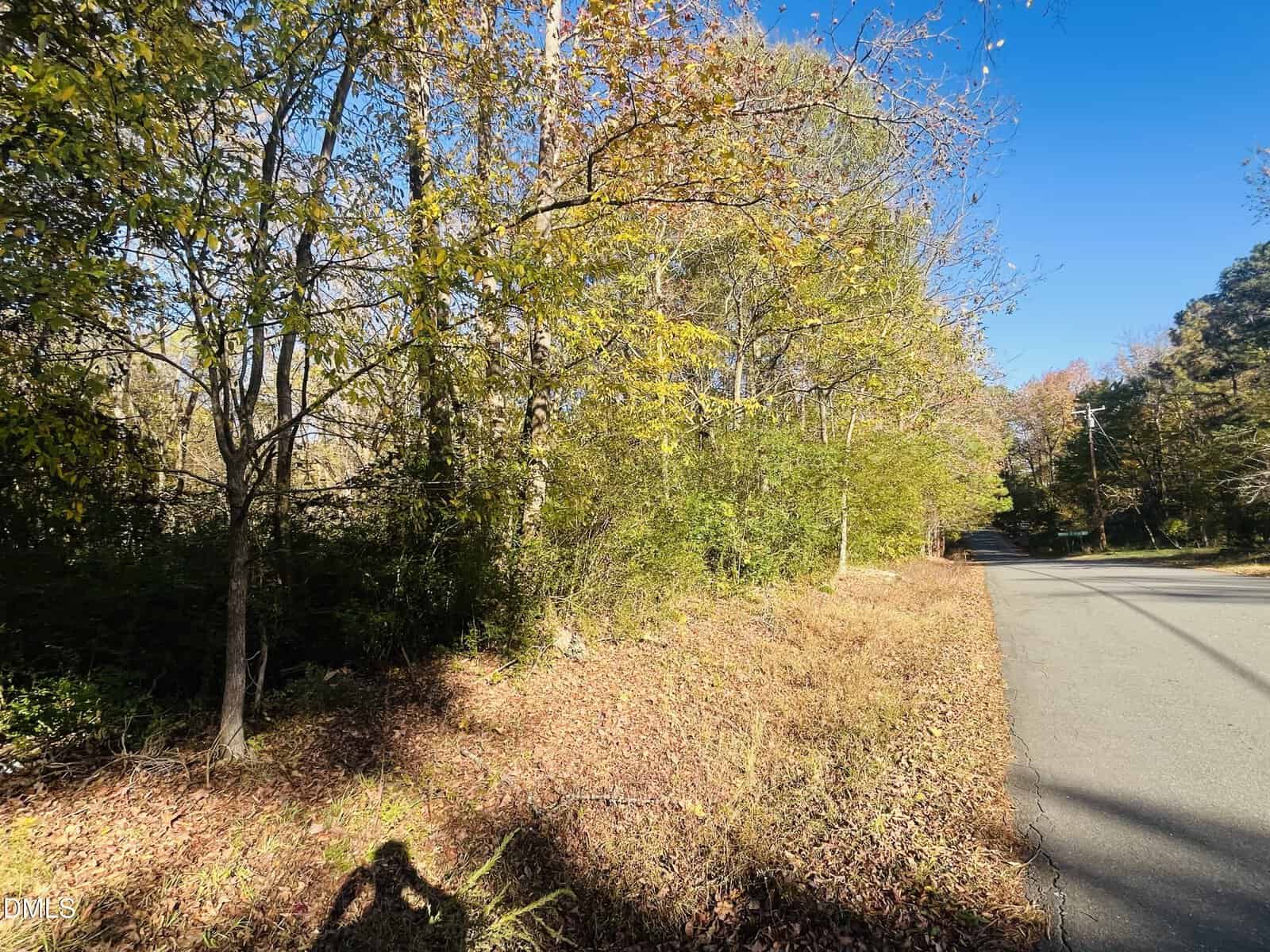 A paved road runs alongside a wooded area with trees showing autumn foliage. Dry leaves cover the ground and a shadow of a person is visible in the lower left corner. The sky is clear and blue.