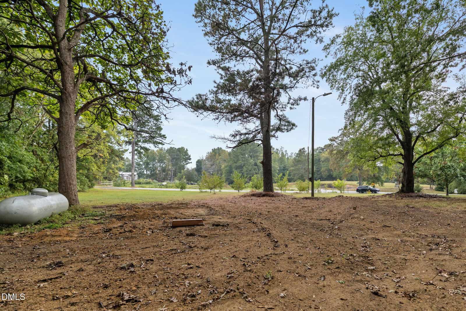 A dirt clearing with scattered leaves and branches is bordered by large trees. A propane tank sits on the left, and a paved road with a car is visible in the background, surrounded by greenery.