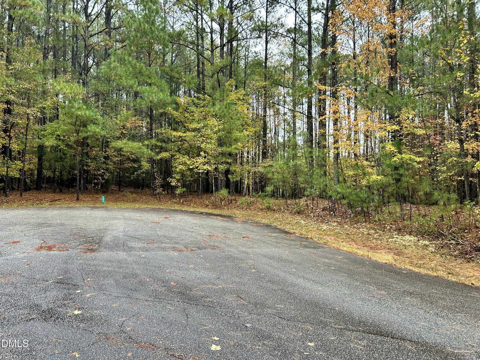 An empty cul-de-sac at 105 Shaman Drive in Louisburg features a cracked asphalt surface, surrounded by tall pine and deciduous trees in early autumn, with leaves scattered on the ground.