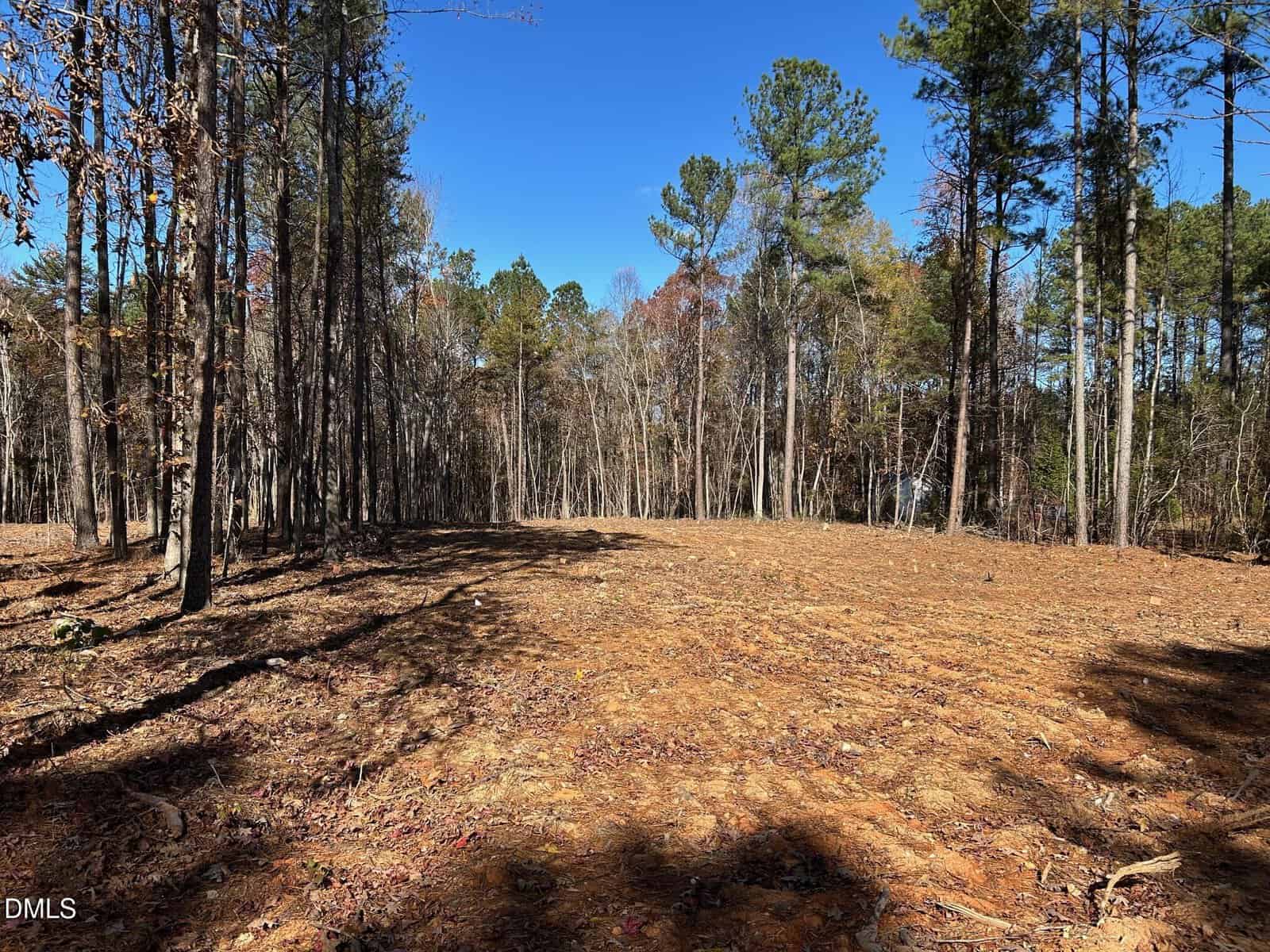 A cleared, dirt area surrounded by tall, thin trees in a forested landscape under a clear blue sky; the ground is bare with visible tire marks and scattered debris.