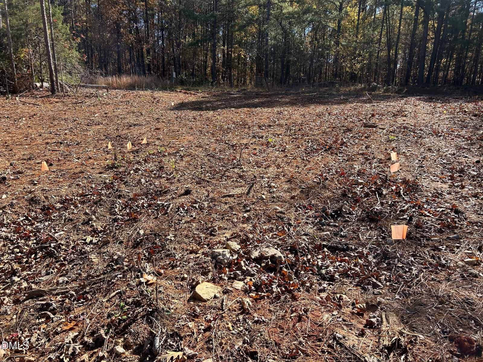 Cleared plot of land with scattered dry leaves and small orange survey flags marking spots on the ground. Dense trees border the area in the background. The lighting suggests a sunny day.