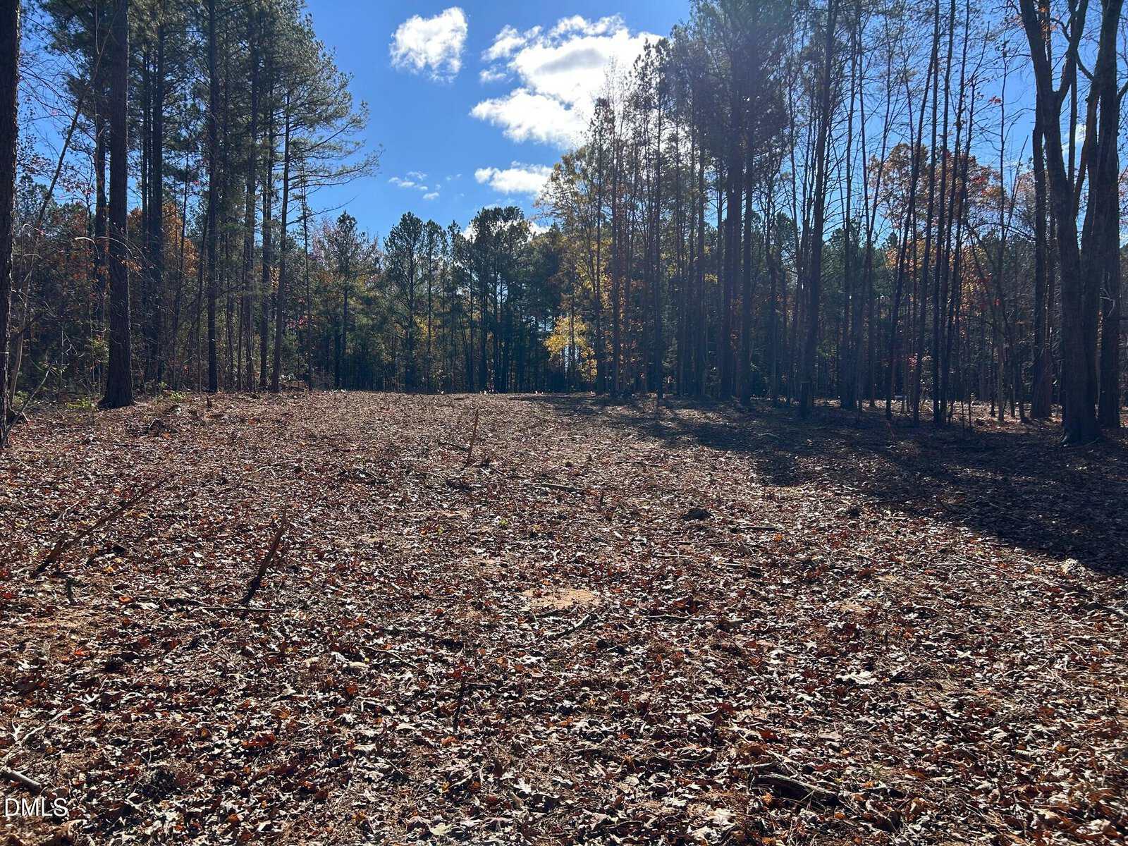 A cleared, leaf-covered area in a forest with tall trees on both sides. The sky is blue with a few clouds, and sunlight filters through the trees, casting shadows on the ground.