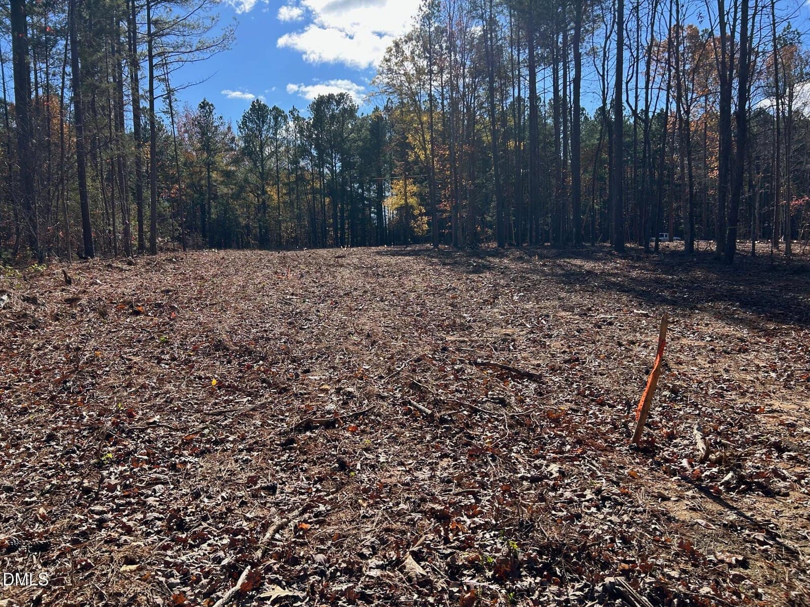 A cleared, flat area of land with scattered leaves and twigs on the ground, surrounded by tall trees under a blue sky with some clouds. An orange stake is visible in the right foreground.