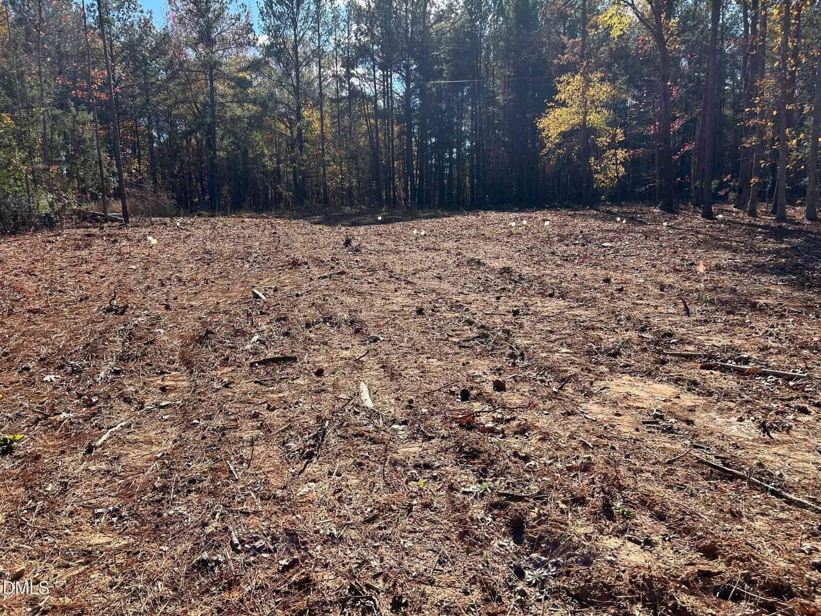 A cleared, dirt-covered area in a forest with tree stumps, scattered branches, and pine needles on the ground. Tall trees with sparse autumn leaves border the opening in the background.