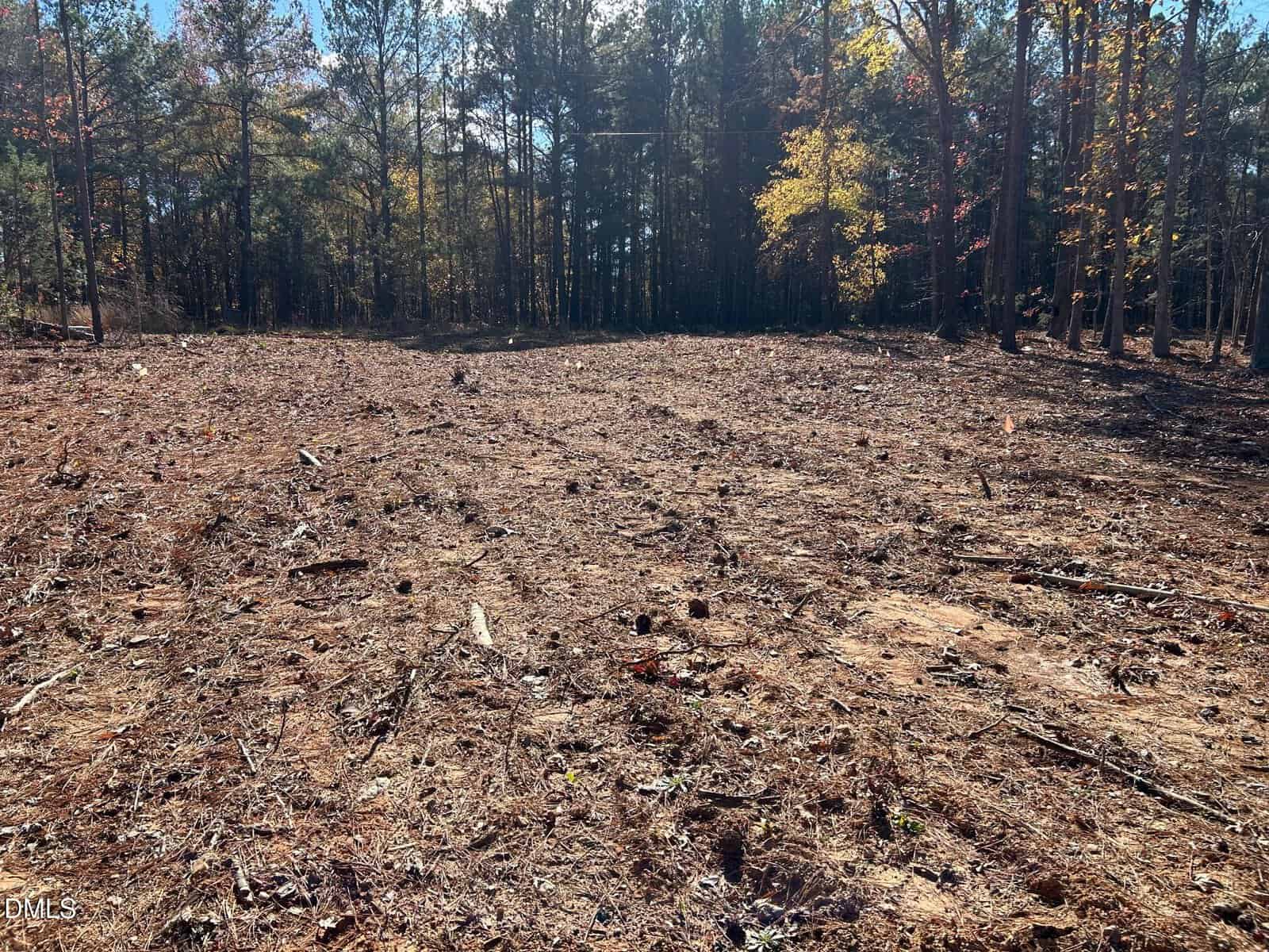 A cleared, dirt-covered area with scattered branches and tree stumps, surrounded by dense woods with tall trees in the background under a sunny sky.