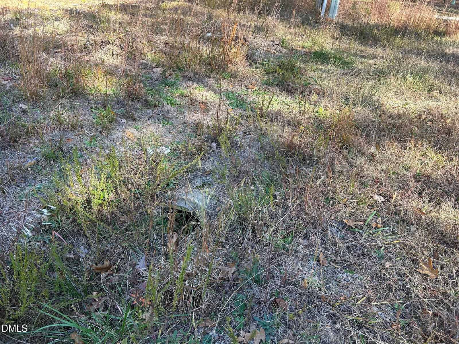 A patch of dry grass and weeds with a small concrete or stone pipe partially buried in the ground. Some brown and green vegetation surrounds the pipe; ground appears uneven.