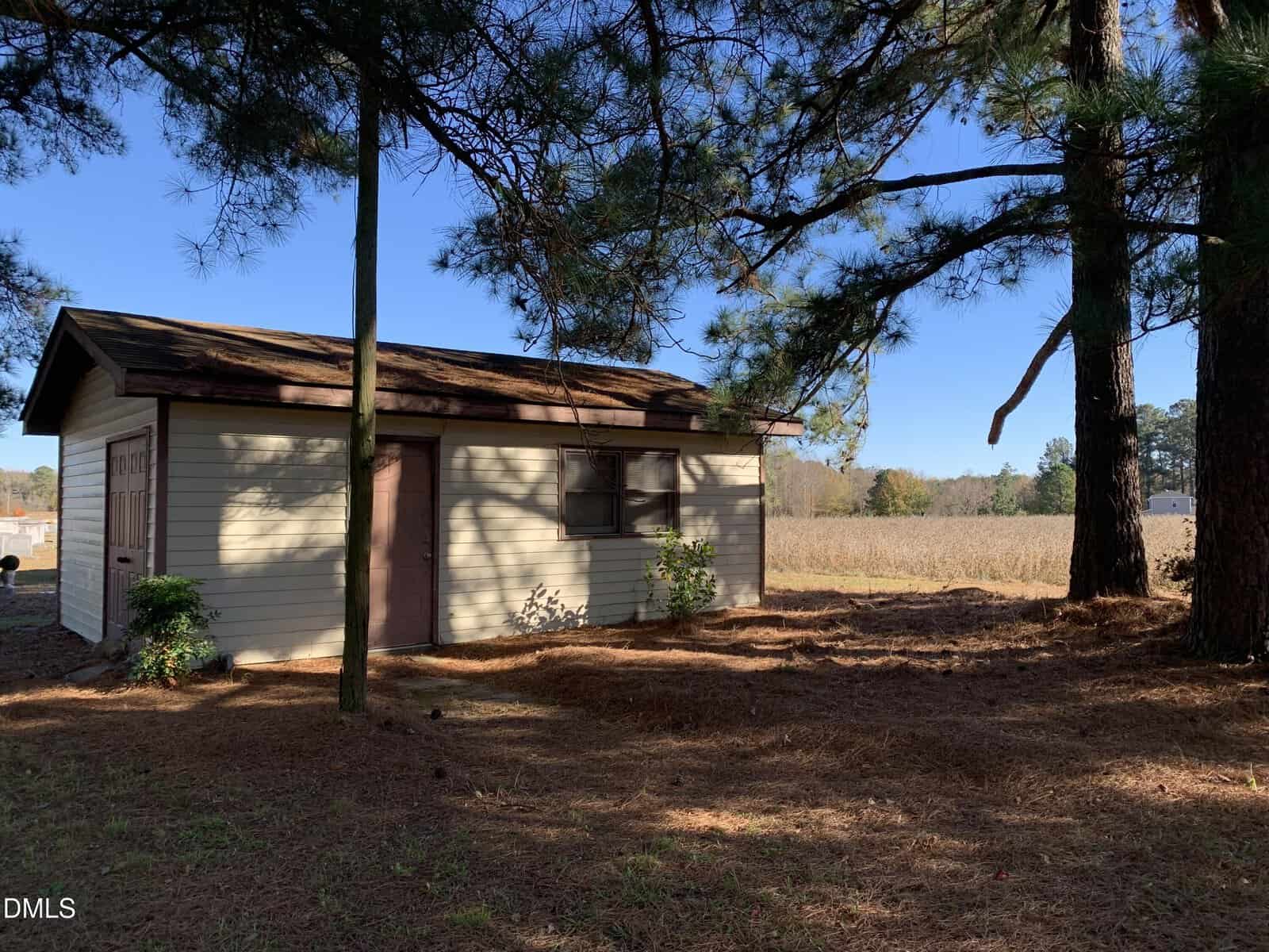 A small beige shed with a brown roof sits under tall pine trees, surrounded by pine needles, with a field and trees visible in the background under a clear blue sky.