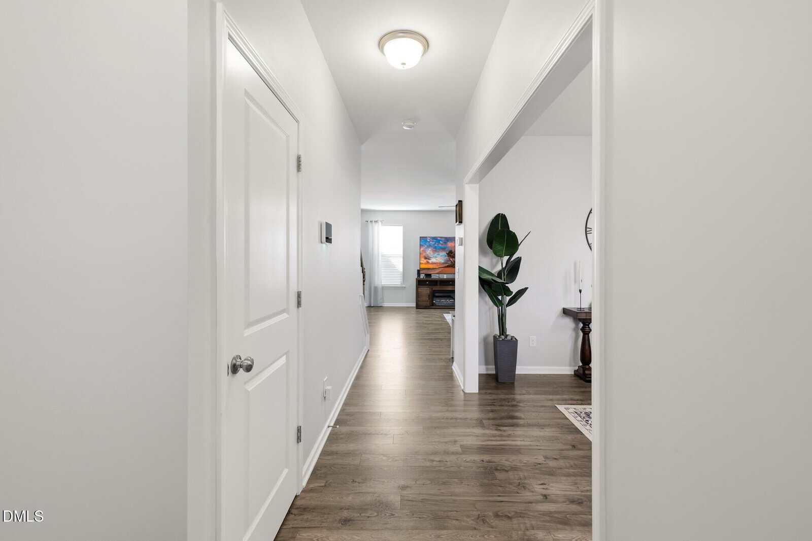 Bright hallway with white walls and wood flooring leads to a living area. A white door is on the left, a plant and small table with decor are on the right, and a colorful painting is visible in the distant room.