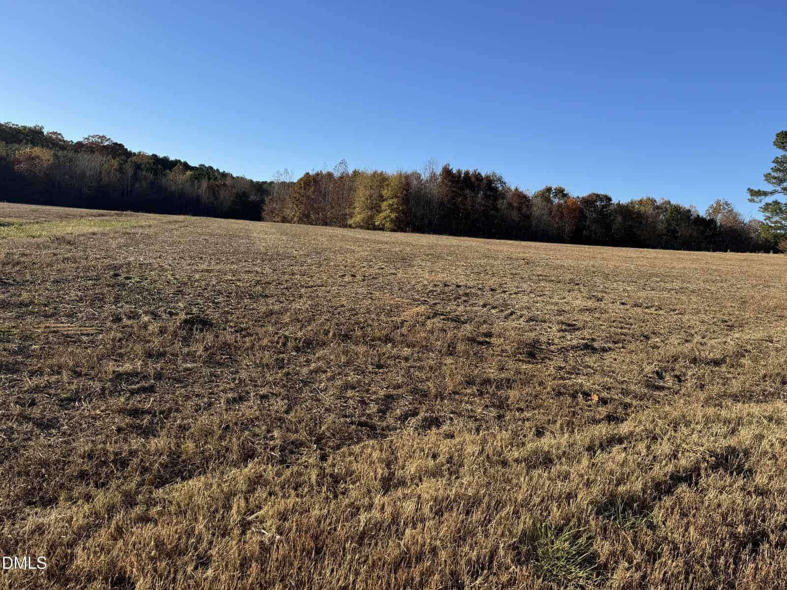 A large, open field covered with dry grass stretches toward a tree line in the distance under a clear blue sky. Some trees show autumn colors. The ground is mostly flat with minimal vegetation.