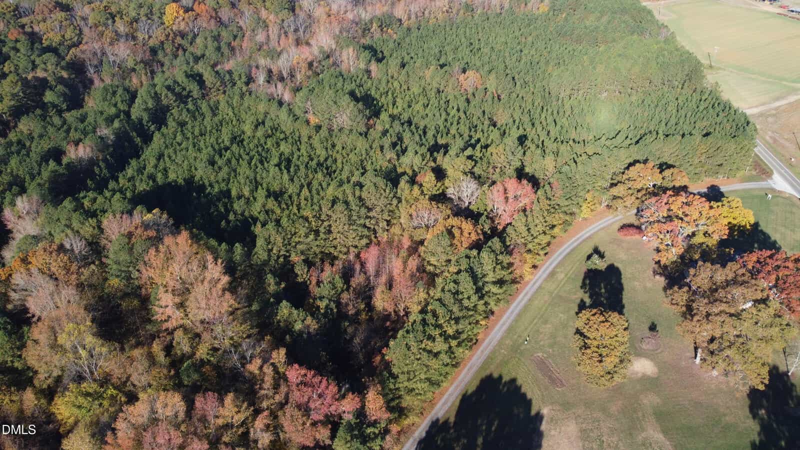 Aerial view of a winding road curving through a landscape of dense green and autumn-colored trees, with open grassy areas on the right and a forested area on the left.
