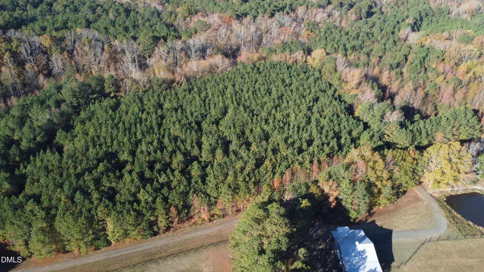 Aerial view of a densely wooded area surrounded by more trees, with a dirt road and a white-roofed building at the bottom right corner. A small pond is visible near the building. Trees show mixed autumn colors.