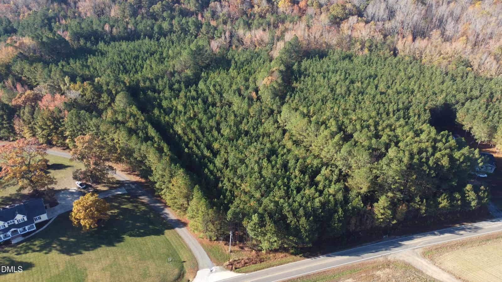 Aerial view of a densely wooded area bordered by roads, with a large house and lawn on one side and a field at the bottom right. Trees are mostly evergreen, surrounded by some autumn-colored deciduous trees.