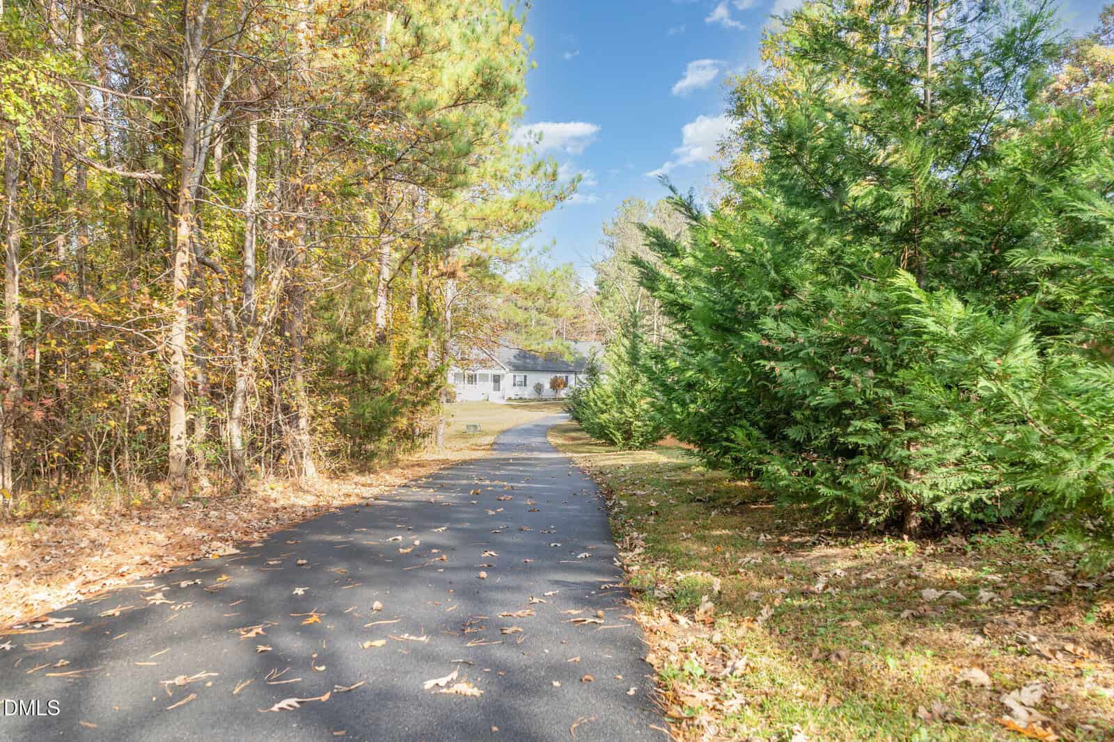 A paved driveway curves through a wooded area with tall trees and green shrubs, leading to a white house in the distance under a blue sky with some clouds.