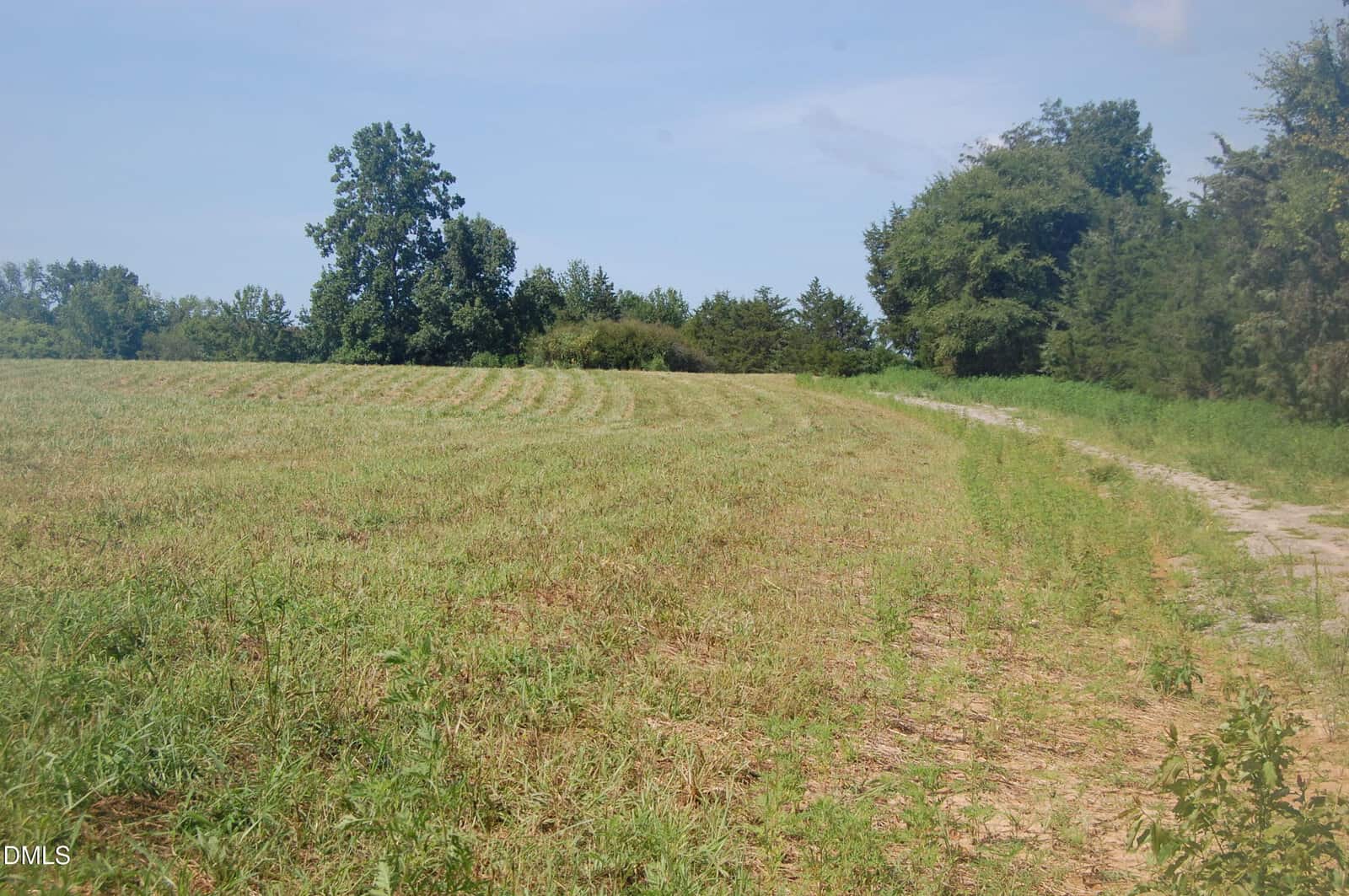 A grassy field with a dirt path curves to the right, bordered by trees and shrubs under a clear blue sky. Striped patterns are visible in the grass, likely from recent mowing.
