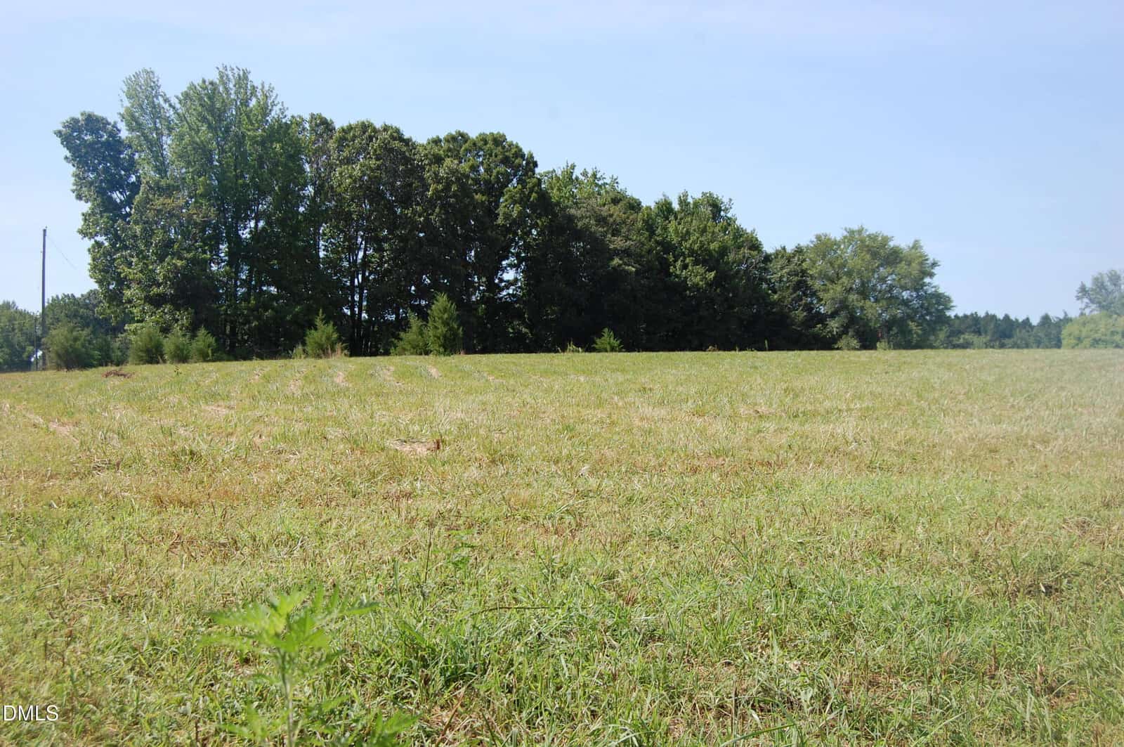 A grassy open field with short, sparse grass in the foreground. A line of tall, leafy trees borders the back edge of the field under a clear blue sky.